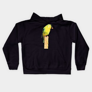 Goldfinch in the Garden Kids Hoodie